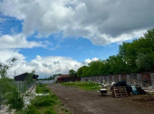 Photo de la fourrière d'Hunedoara