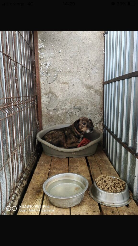 Retour en images du voyage de décembre 2025 en Roumanie.