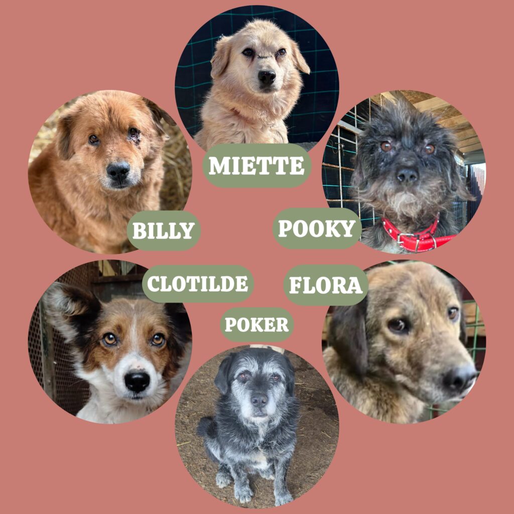 En route vers le bonheur !