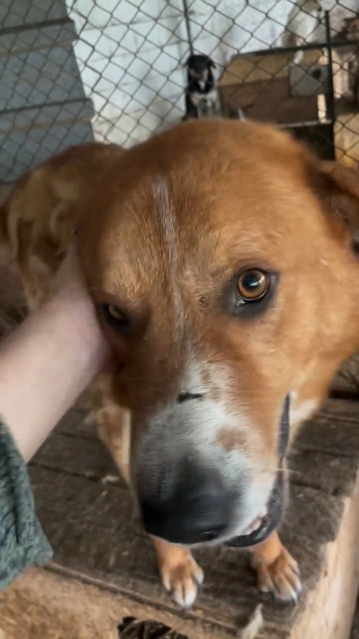 Oskar